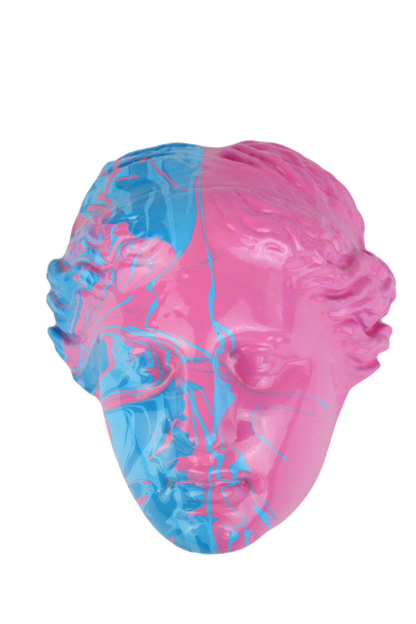 Draagvlak's Venus Head in Pink & Blue